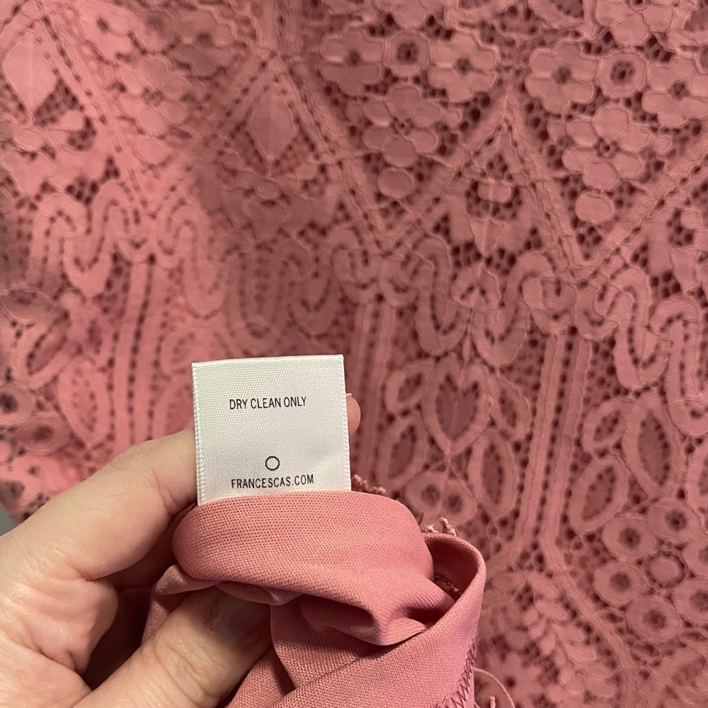 Francesca’s Lace Pink Dress - Picture 9 of 10